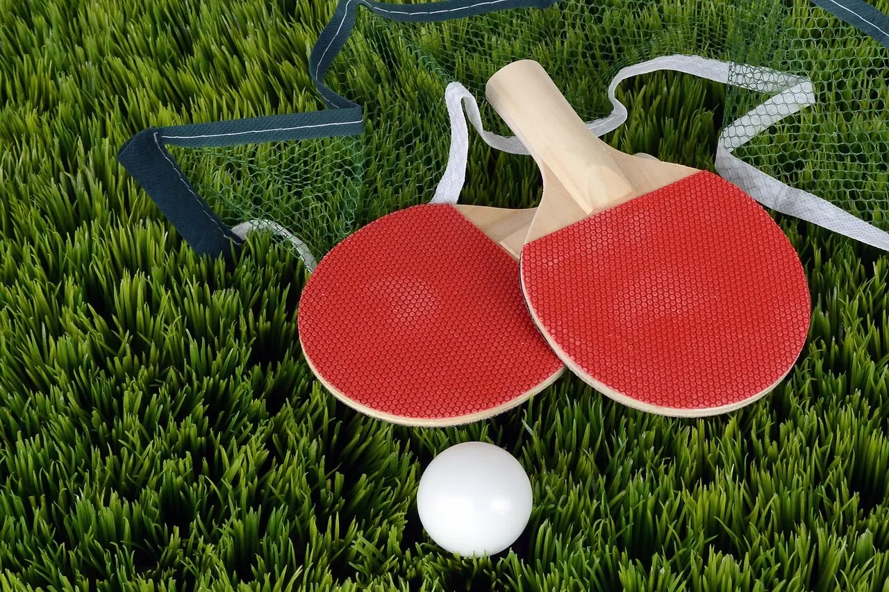 To bordtennisbat, en bold og et net på græs